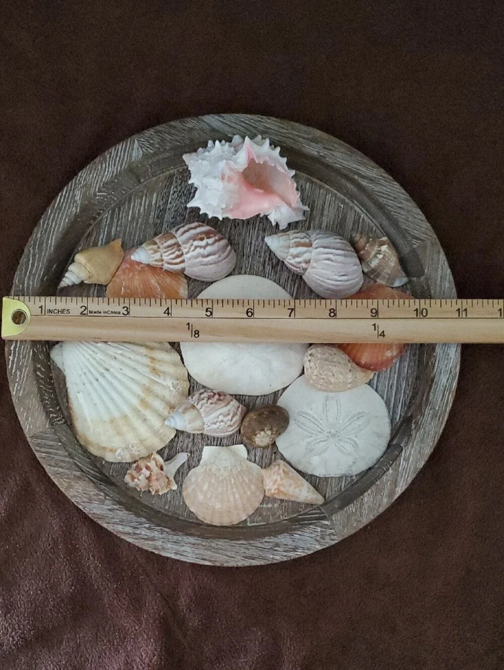 Natural Seashells Pink Murex Seashell Beach Coastal Decor Crafts Nautical